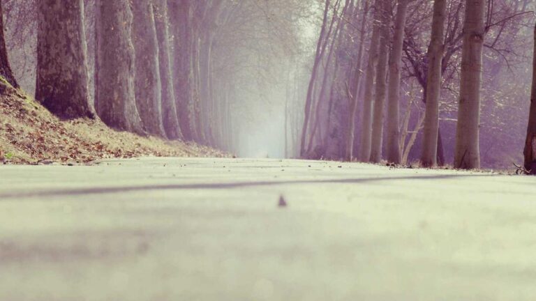 How To Log In Using My 99Exch Id Credentials?